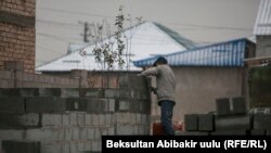 Бишкектеги жаңы конуштардын бири. 