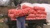 Macedonia - No ransom onions in Macedonia.