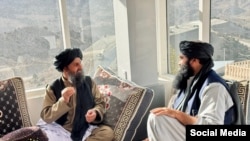 د طالبانو د ریاست الوزرا اقتصادي مرستیال ملا برادر له سراج الدین حقاني سره