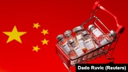 Вакцина салынган арабача КЭРдин желегинин үстүндө тартылган.