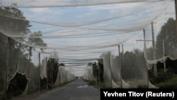 Ілюстраційне фото. Протидронові сітки над дорогою поблизу Костянтинівки, Донечина, серпень 2025 року