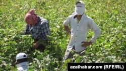 Gowaça meýdanynda işleýän býujet işgärleri. Arhiw suraty