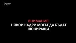 Десетки хиляди умират от глад в Йемен
