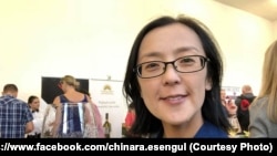 Чынара Эсенгул, мамлекеттик башкаруу боюнча эксперт