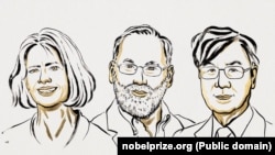 مری برونکو و فرد رمزدل از ایالات متحده و شیمون ساکاگوچی از ژاپن، برندگان نوبل پزشکی در سال ۲۰۲۵