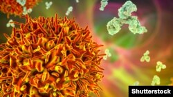 Noua tulpină de Covid din Africa de Sud are de două ori mai multe mutații în proteina spike, ținta tuturor vaccinurilor, decât varianta Delta.