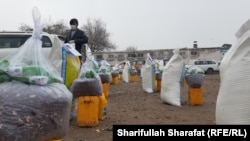 ارشیف، ځینې کورنیو سره شوې مرستې