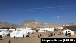 شماری از باشنده های ولایات بادغیس، غور و فاریاب که در اثر خشکسالی به هرات بی‌جا شده‌اند. 25 Dec 2018