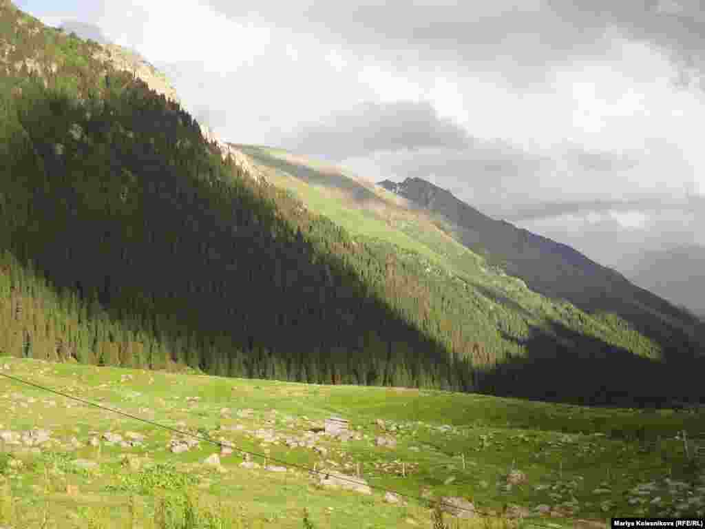 Паркта негизинен Тань-Шань карагайы өсөт, ал ээлеген аянт 3341 гектар.