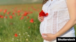 Илюсстративдик сүрөт.