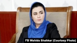 وحیده شهکار، سخنگوی والی پروان