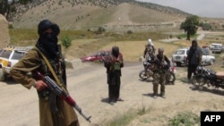 آرشیف، شماری از طالبان در یکی از ولسوالی‌های ولایت پکتیا
