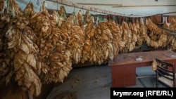 Табачное назвали так из-за табака, который здесь выращивают почти сто лет