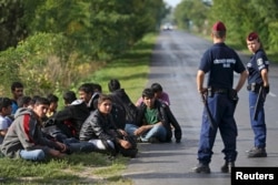 Hungarian policemen detain migrants from Afghanistan after they illegally crossed from Serbia to Hungary near the village of Asttohatolom on September 16.