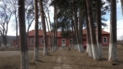 Bonda Ana Maria: ”Învață o română arhaică, nici măcar la televizor nu aud așa ceva”