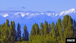 Ысык-Көл аймагы