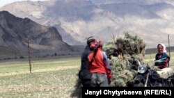 Мургабда терскен терген өзүнчө кесип өңдүү оор жумуш