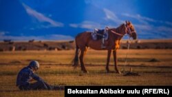 Иллюстрациялык сүрөт. 