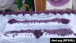 جشنواره زعفران