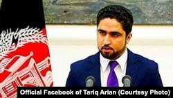 طارق آرین، سخنگوی وزارت داخله