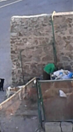 Balkanabat şäherinde zir-zibil çeleklerini dörýän zenan.