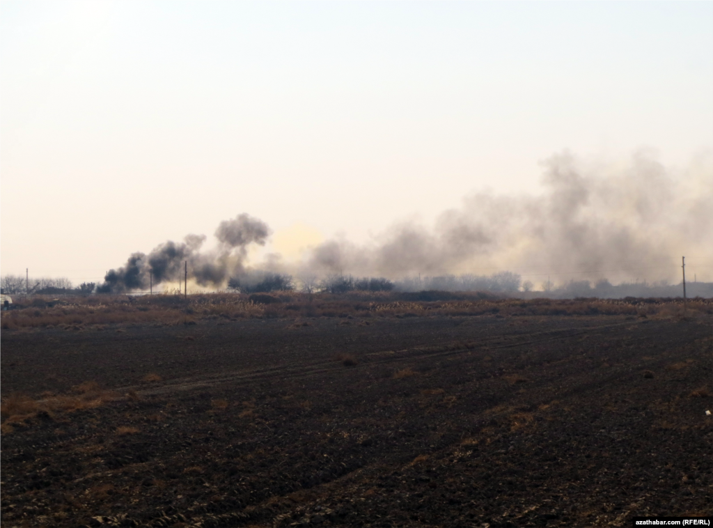Mary, otlanan ot-çöpleriň tüssesi asmana galýar. Ýanwar, 2018 ý.