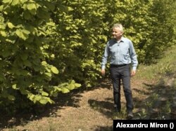 Florin Stănică, profesor universitar în Horticultură la Universitatea de Agronomie din București, este gata să-i sfătuiască pe fermieri.