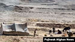 آرشیف، یک فامیل کوچی در افغانستان