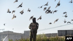 یو طالب عسکر 