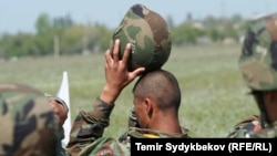 Иллюстрациялык сүрөт. 