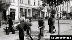 România - evrei scoși la muncă forțată, Cernăuți