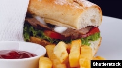 Иллюстрациялык сүрөт. 