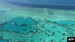 Поглед од воздух на Големиот корален гребен