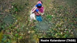 Illýustrasiýa suraty.