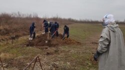 В Украине — рекордная смертность от COVID-19