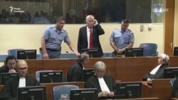 Відео з суду в Гаазі: Младича засудили до довічного ув’язнення (відео)
