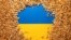 FILE PHOTO: Illustration shows Ukrainian flag and grain