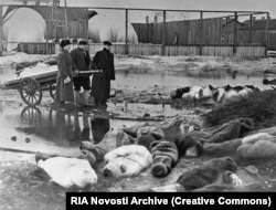 Un grup de bărbați colectează trupurile neînsuflețite ale victimelor asediului din Leningrad, octombrie 1942. Nereușind să captureze orașul, forțele naziste au înconjurat nordul orașului, încercând să înfometeze populația. Asediul a durat aproape doi ani și jumătate și a ucis aproximativ un milion de oameni.