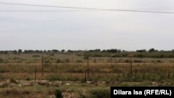 Казакстан менен Өзбекстандын чек арасы. 