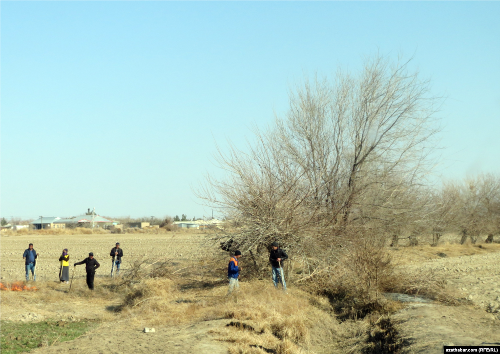 Mary, arassalaýyş işlerine köp adam çekildi.&nbsp; &nbsp;Ýanwar, 2018 ý.
