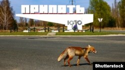 Місто Прип’ять біля ЧАЕС, зона відчуження