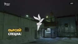 Колонехь йиттинчул тIаьхьа кхелхина Нохчийчуьра вахархо