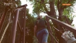 Zoo pe timp de război. „Oricine poate trage, dar numai tu știi cum să ai grijă de un elefant”