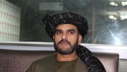 محمدهاشم الکوزی، عضو کمیسیون مبارزه با مواد مخدر مجلس سنای افغانستان