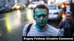 Alexei Navalnîi: Instantanee din viața de lider al opoziției rusești 