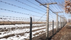 Հրադադարի խախտման մեղադրանքներ՝ բանակցային գործընթացում պասիվության ֆոնին