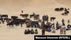 خشکسالی در ولایت غور