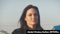 آنجلینا جولی