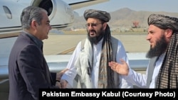 د طالبانو حکومتي چارواکي د پاکستان د کورنیو چارو وزیر محسن نقوي (له کیڼ لوري لومړی) ته پر کابل هوايي ډګر ستړي مه شي وايي - د جولای ۲۰مې انځور.