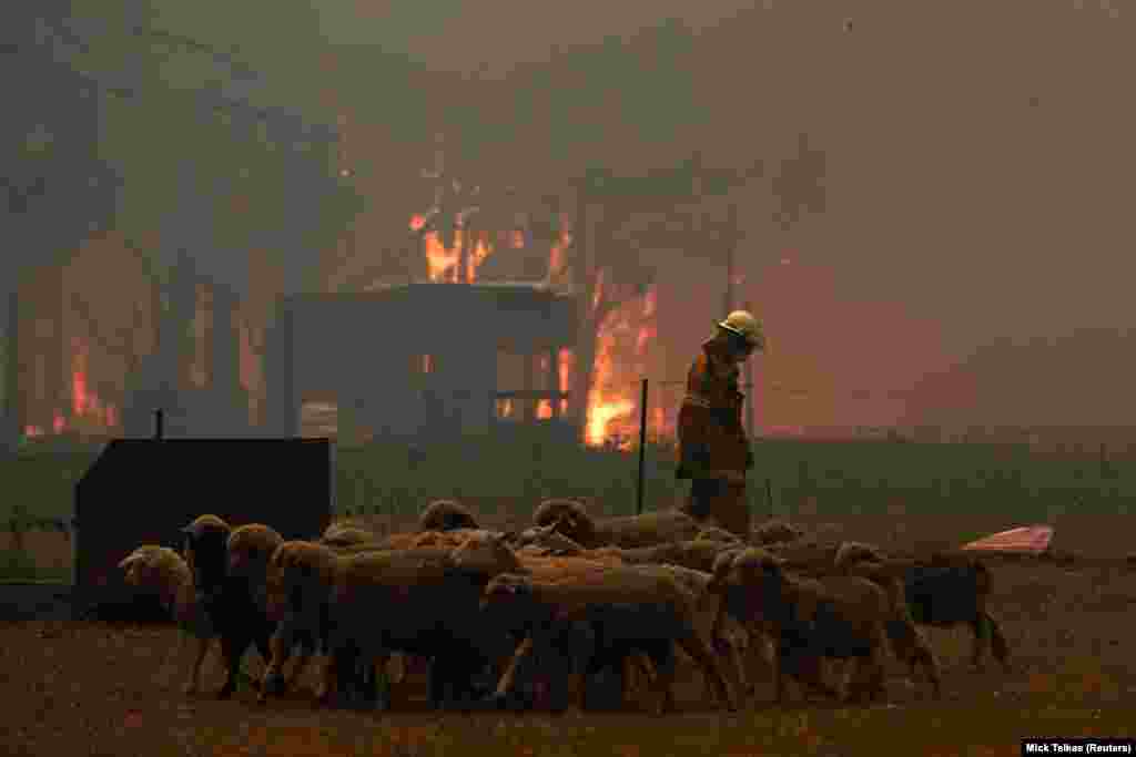 Жители населенных пунктов, к которым подбирались пожары, вынуждены экстренно оставлять свои дома. В штате Виктория были эвакуированы 67 тыс. человек